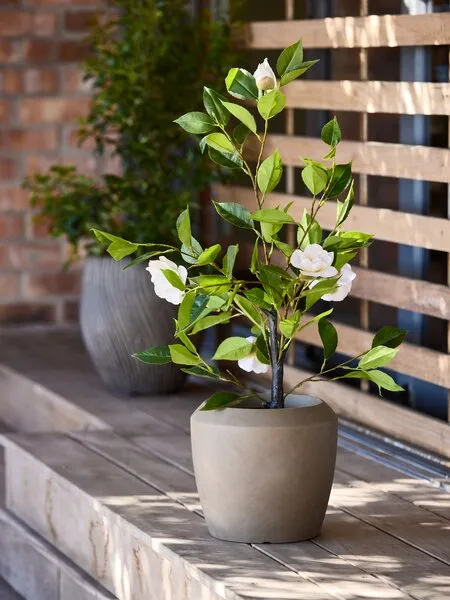 Plante artificielle Solopgang - Hauteur 80cm, Rose blanche - photo 2