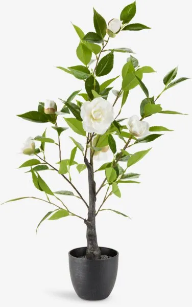 Plante artificielle Solopgang - Hauteur 80cm, Rose blanche