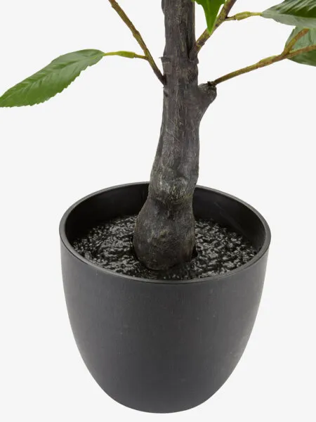 Plante artificielle Solopgang - Hauteur 80cm, Rose blanche - photo 4